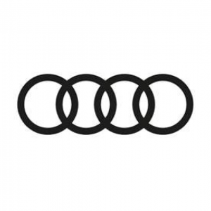 Audi_sw